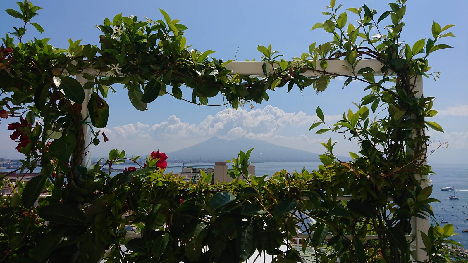從 Grand Hotel Vesuvio 露台花架間望見的維蘇威火山