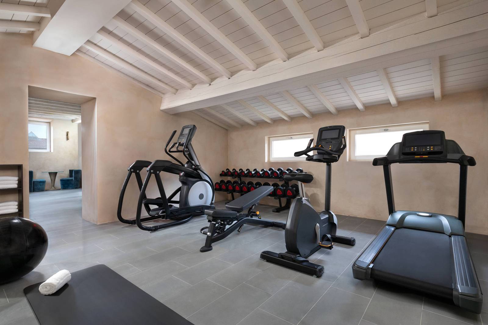 Grand Universe Lucca Forte Gym 健身器材