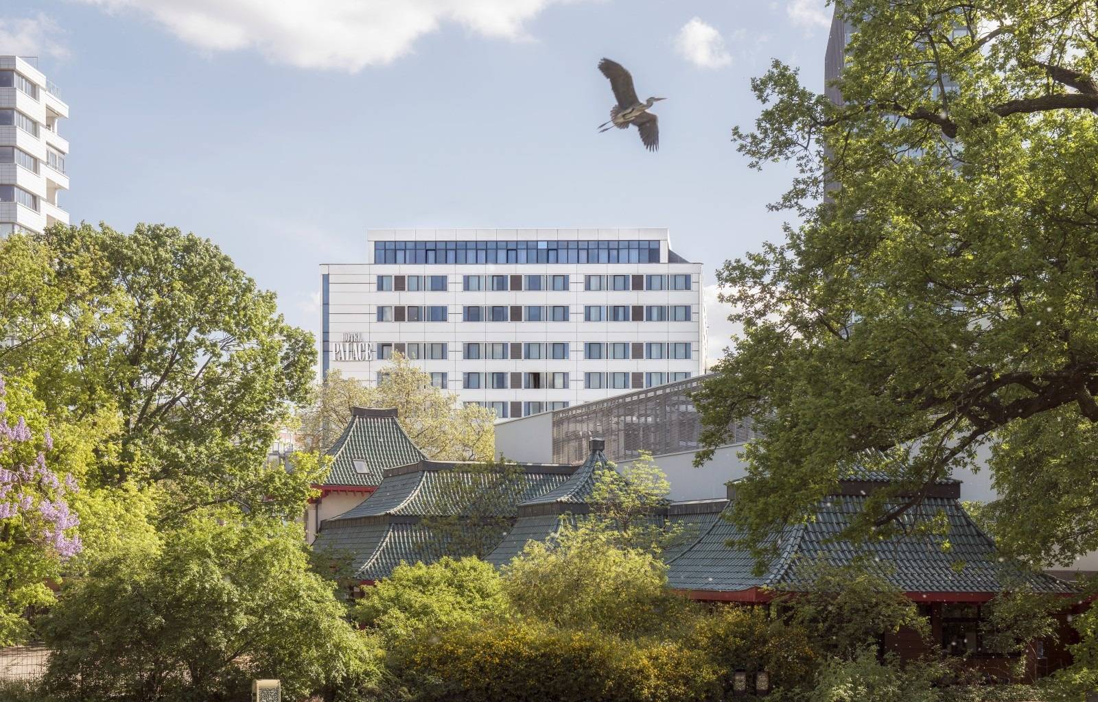 柏林 Hotel Palace Berlin 窗外的柏林動物園綠意