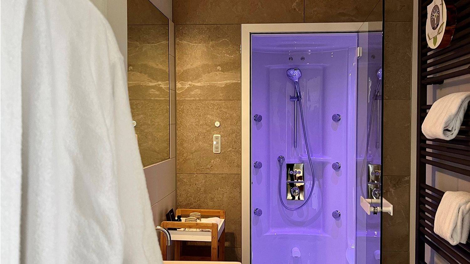 鹿特丹 Hotel Pincoffs Wellness Suite 的紫光蒸氣淋浴間