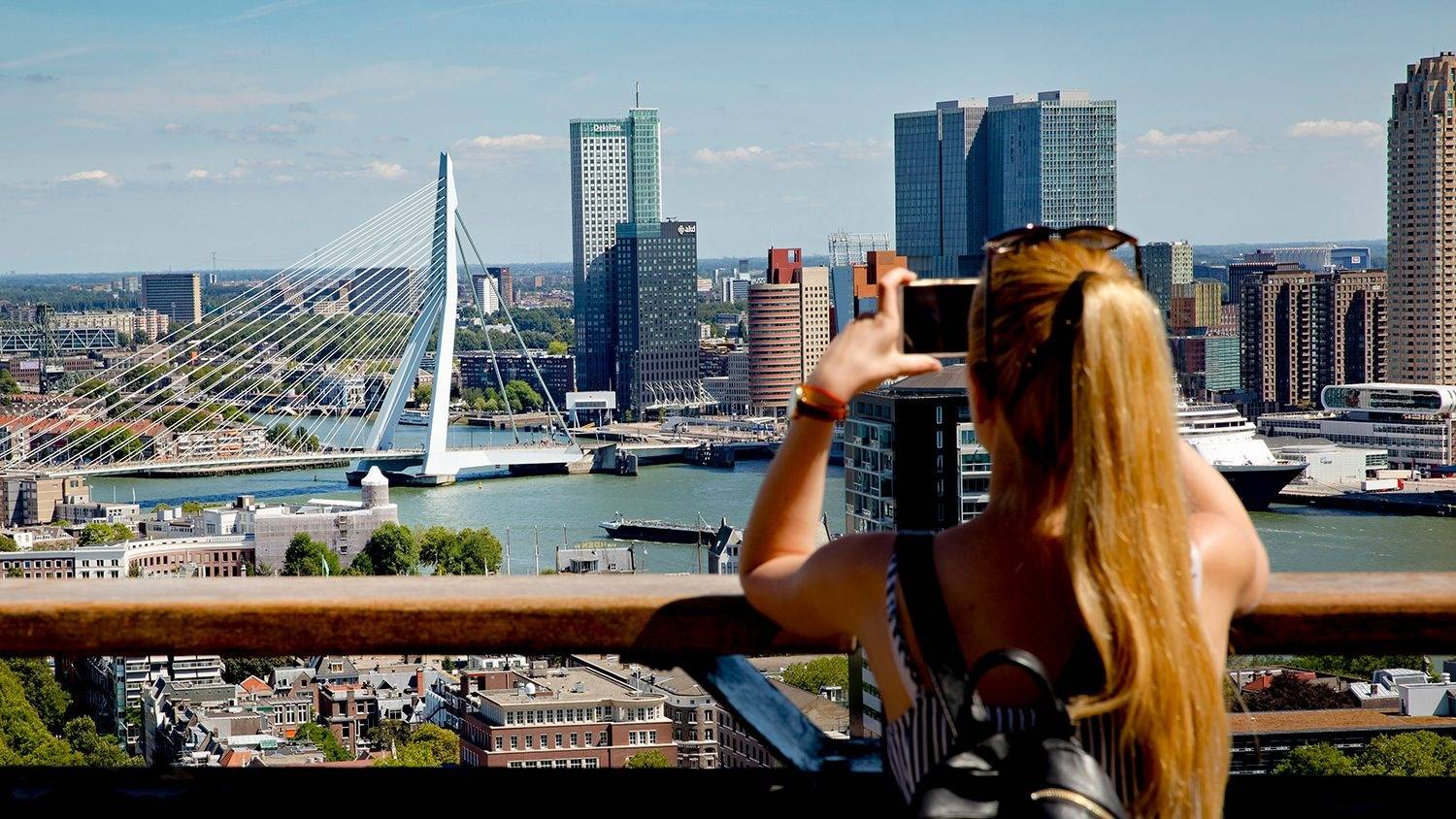 從 Euromast 眺望鹿特丹天際線與伊拉斯謨斯橋