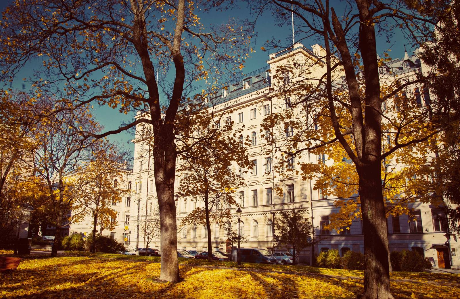 赫爾辛基 Hotel St. George 與 Old Church Park 秋天的樹林