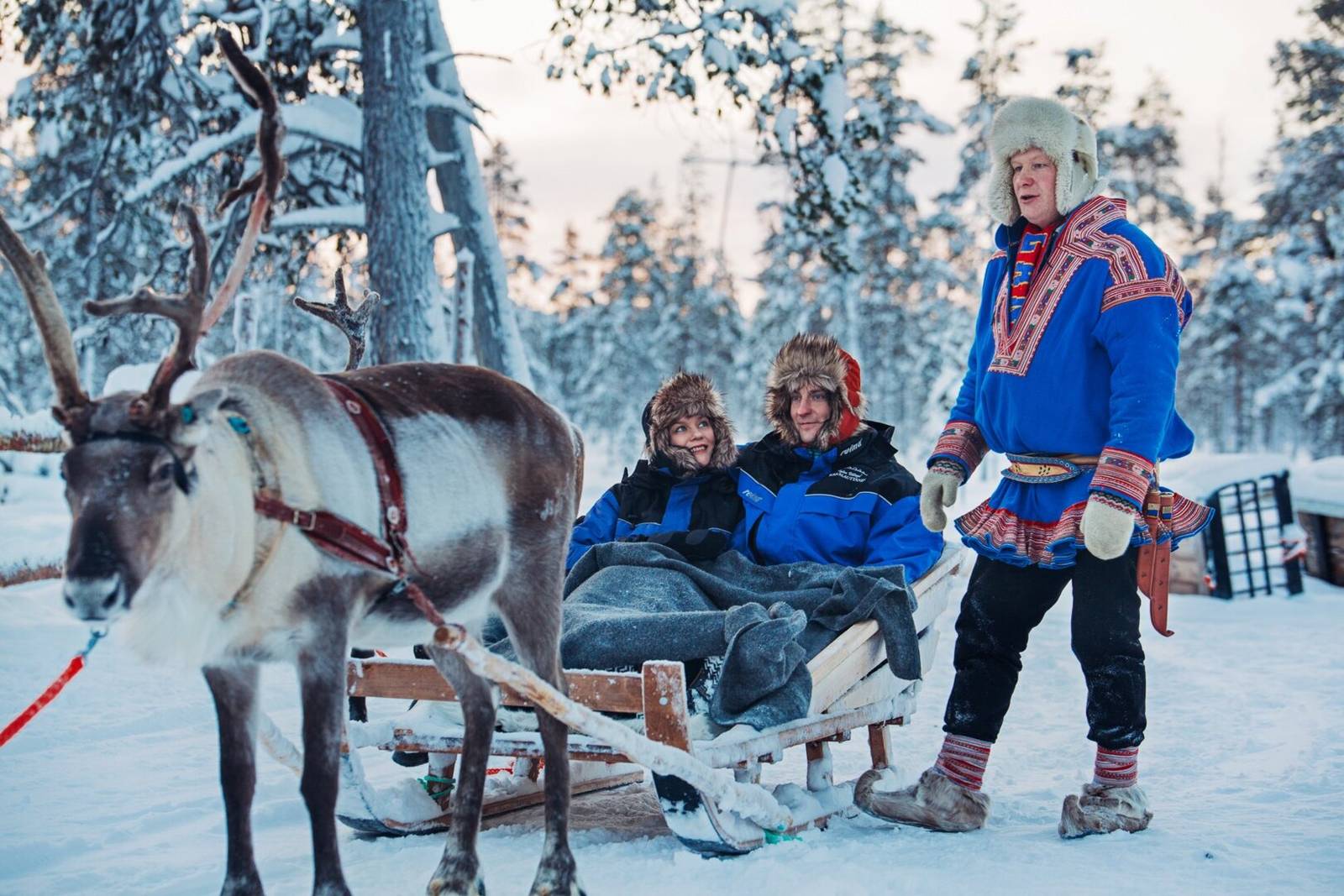 Kakslauttanen Arctic Resort 馴鹿雪橇體驗