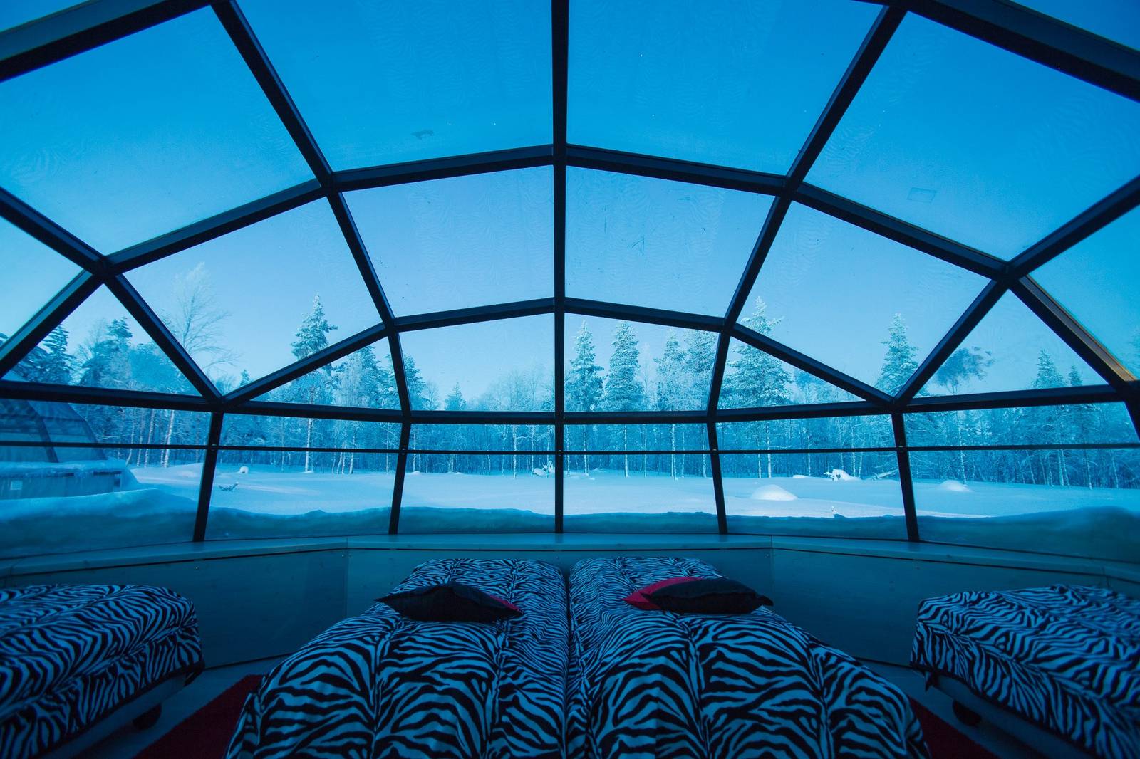 Kakslauttanen Arctic Resort Large Glass Igloo 玻璃穹頂下的床鋪
