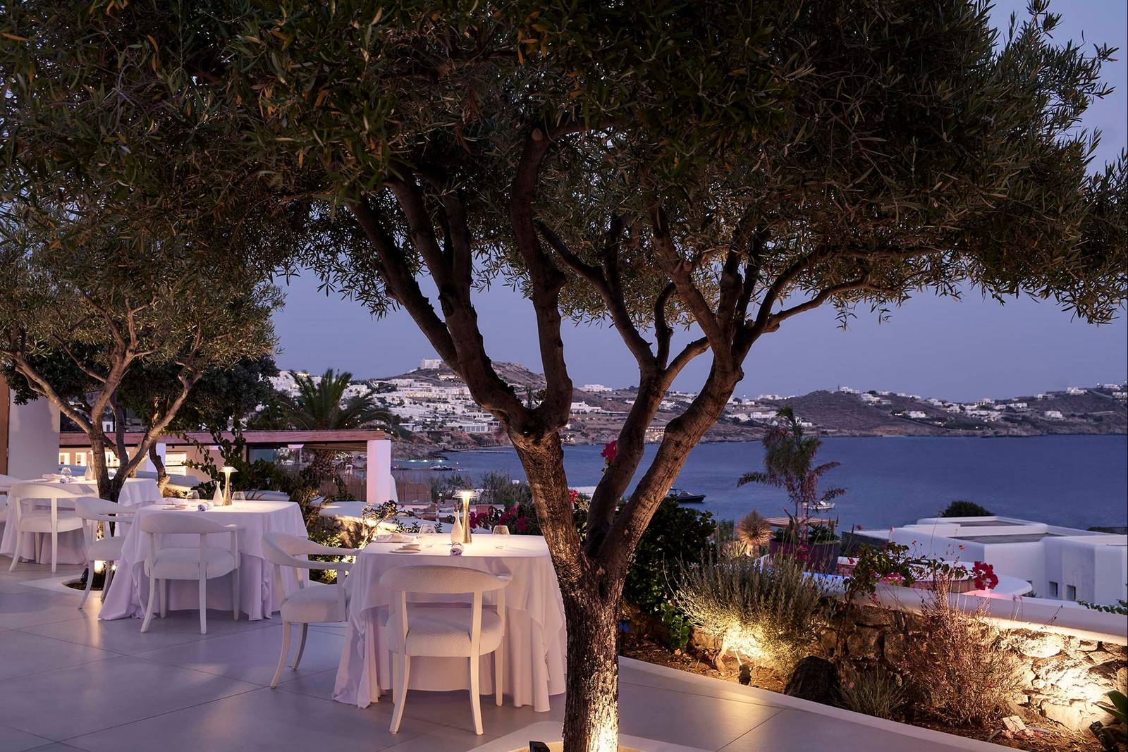 Botrini's Mykonos 橄欖樹下的傍晚露台