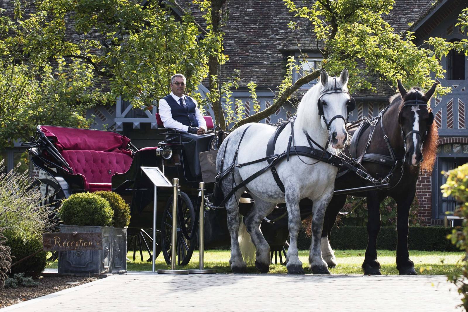La Ferme Saint Siméon 門前的佩爾什馬馬車