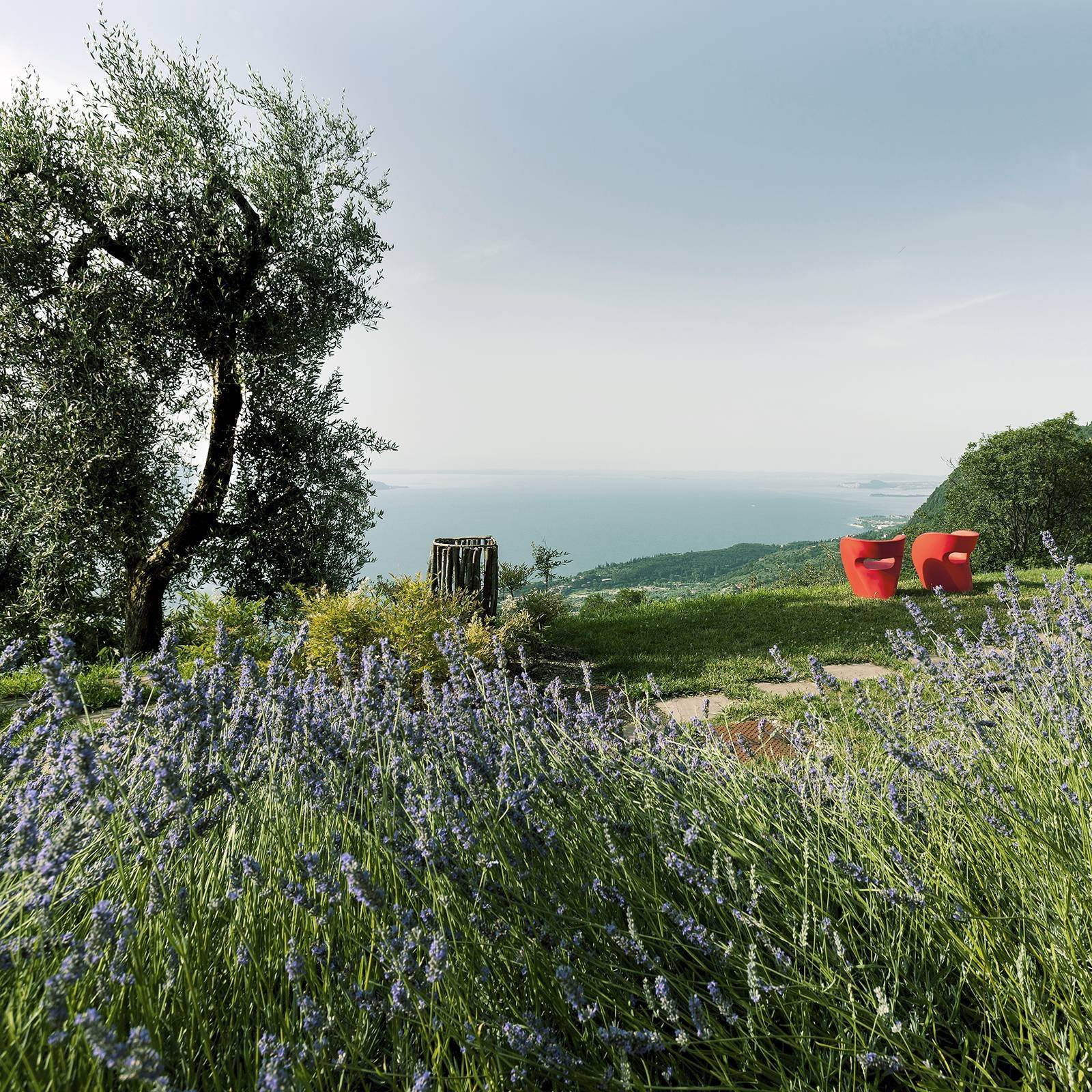 Lefay Resort & SPA 園區的橄欖樹、薰衣草與遠方湖面