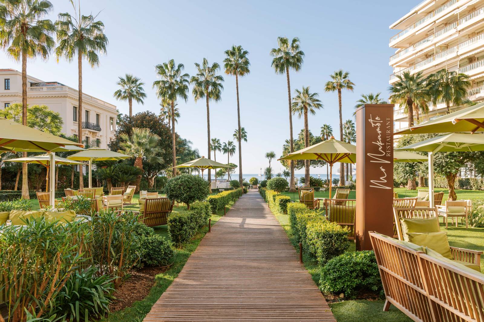 坎城 Mondrian Cannes 私人花園棕櫚步道