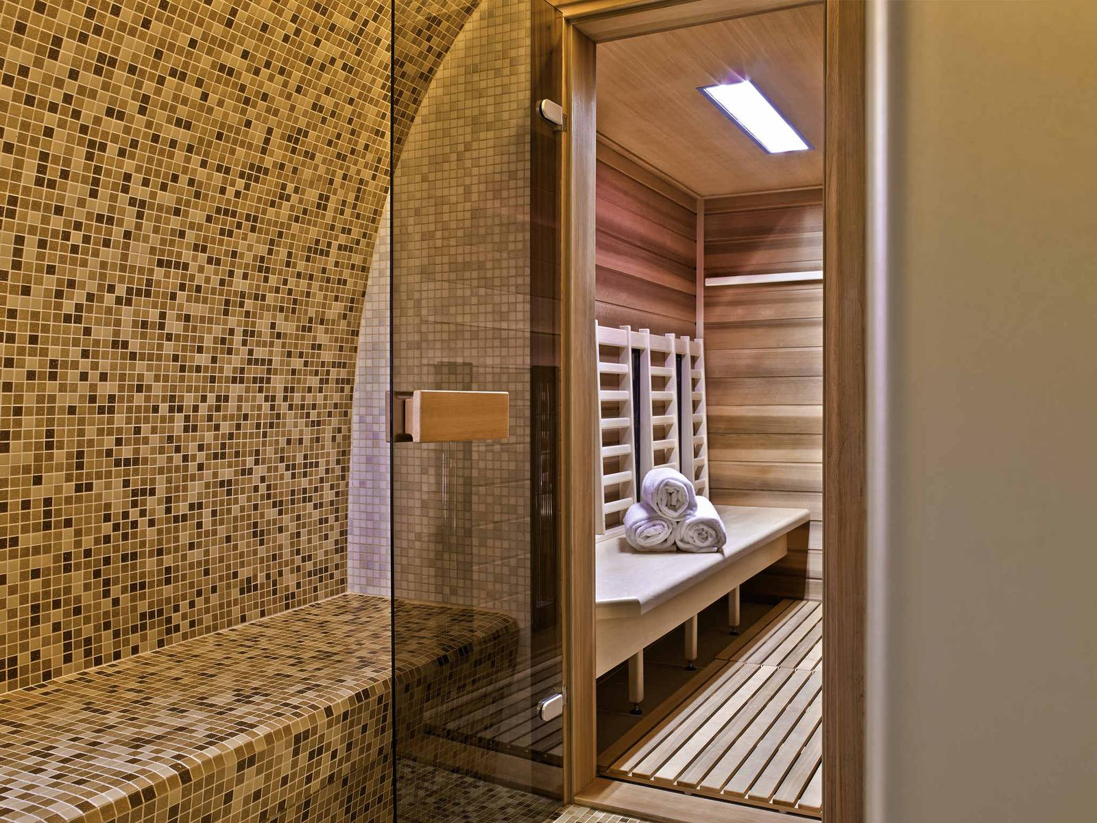 Nemzeti Hotel 桑拿室