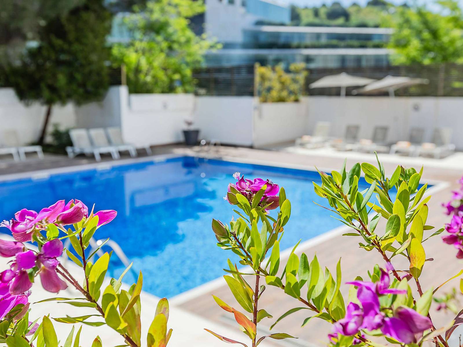 里斯本 Novotel Lisboa 花叢旁的戶外泳池