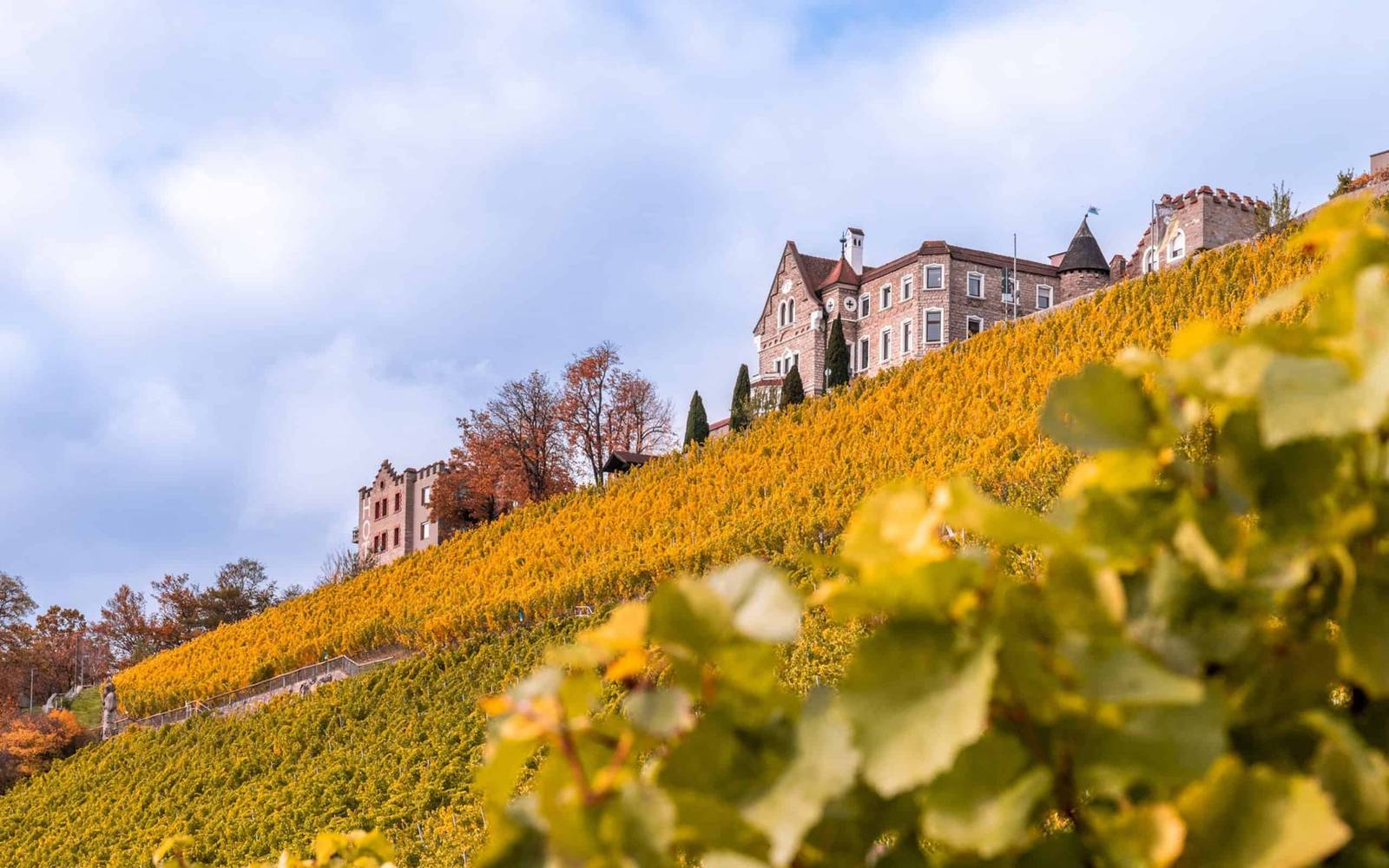 符茲堡 Schlosshotel Steinburg 矗立在葡萄園斜坡頂端