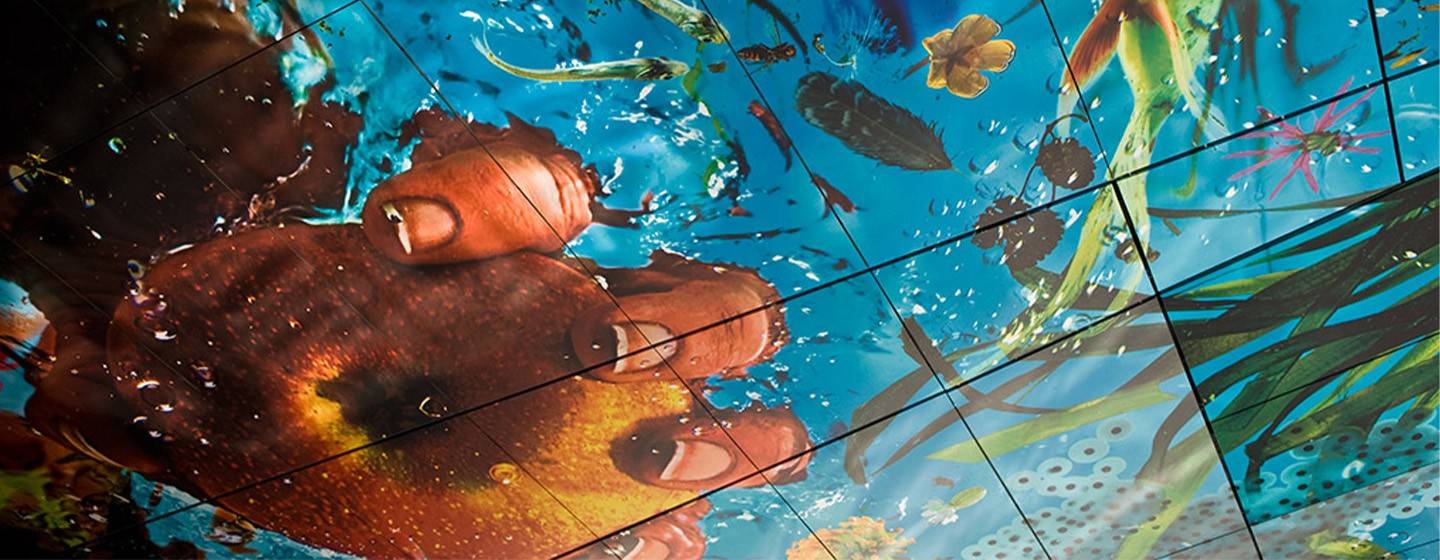 維也納 SO/ Vienna 大廳 Pipilotti Rist 設計的發光天花板