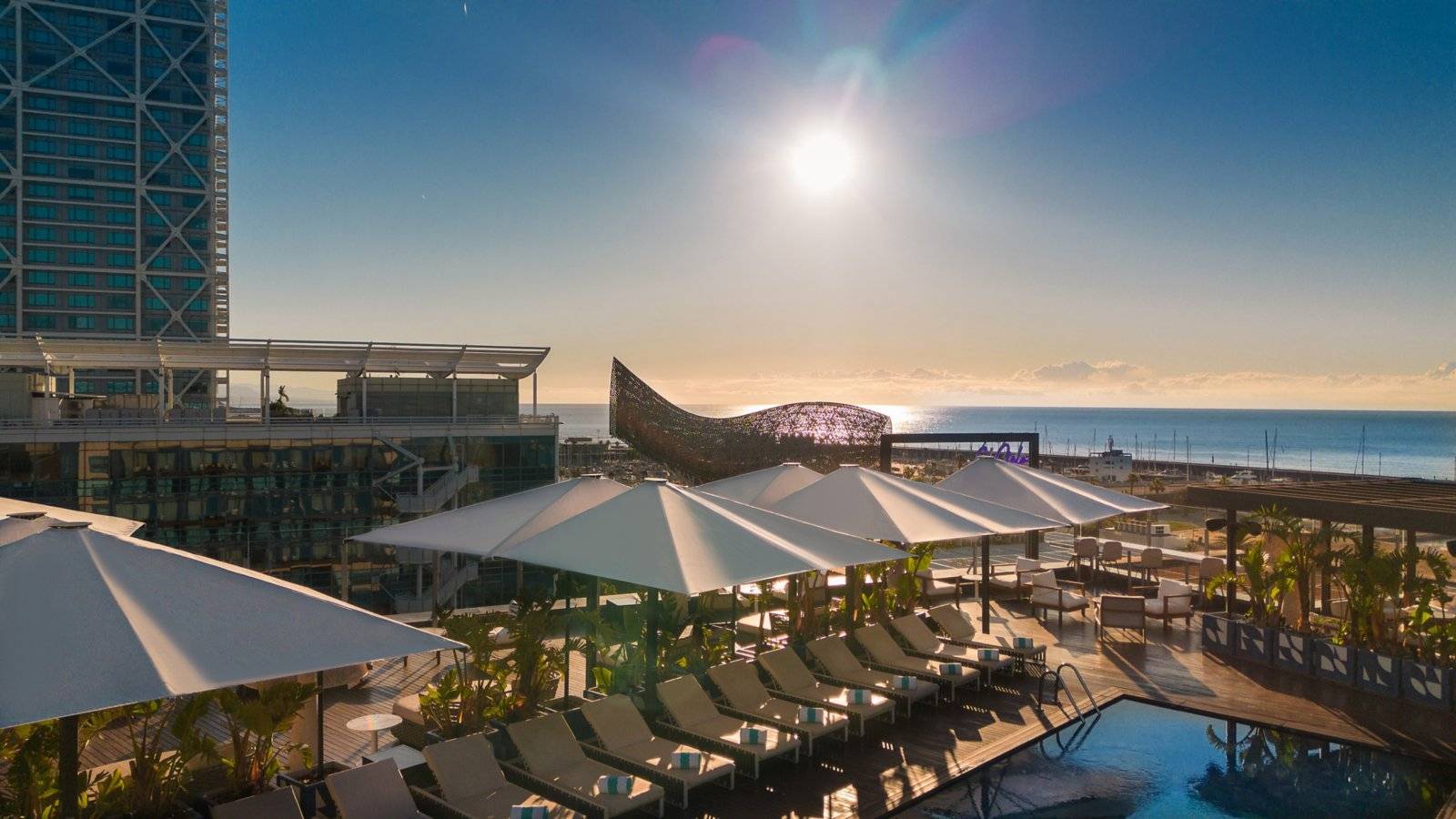從 Sofitel Barcelona Skipper 頂樓望向 El Peix 魚雕塑與地中海
