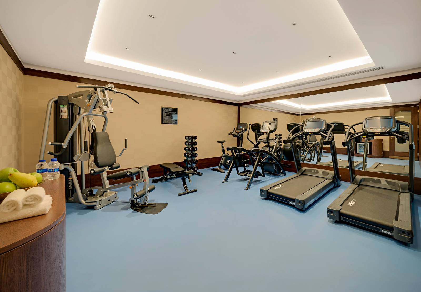 伊斯坦堡 The Galata Hotel 健身中心