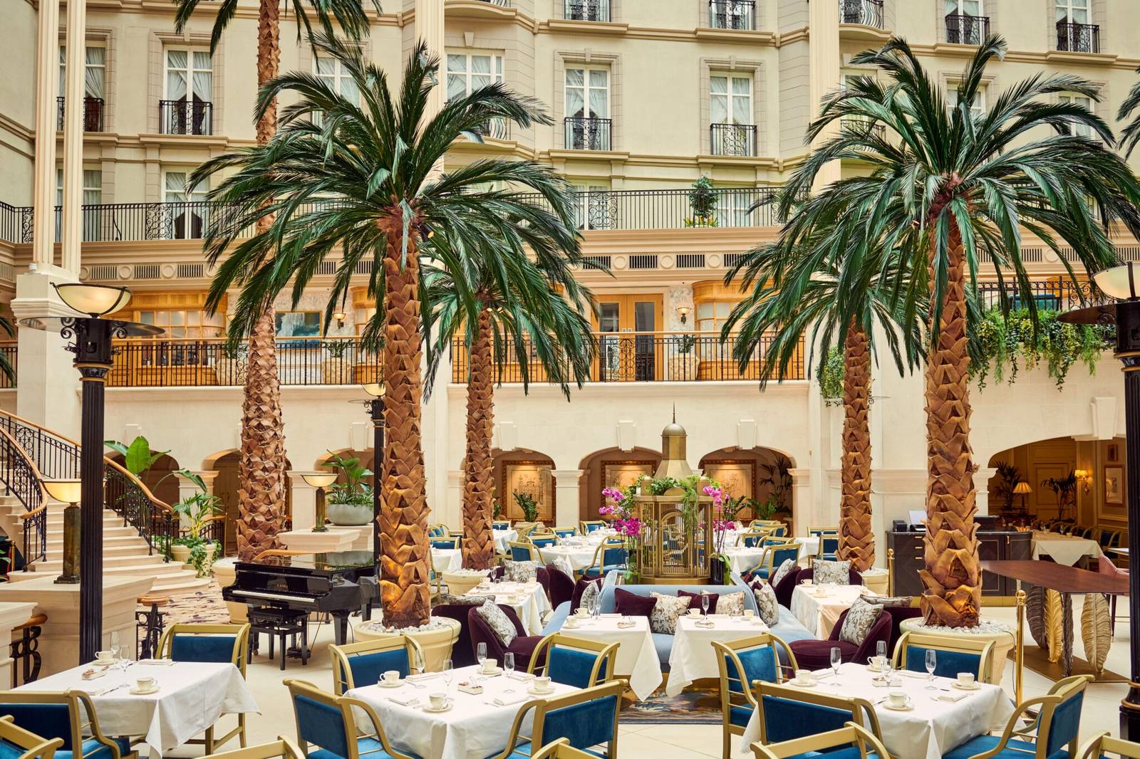 The Landmark London Winter Garden 餐廳棕櫚樹下的座位