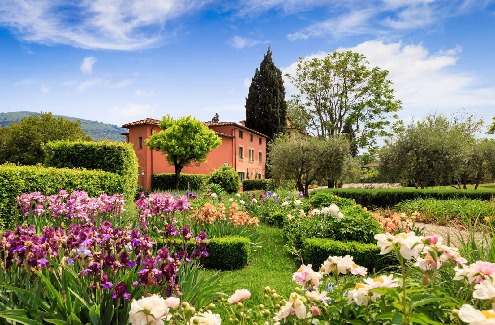 Villa La Massa 花園裡盛開的鳶尾花