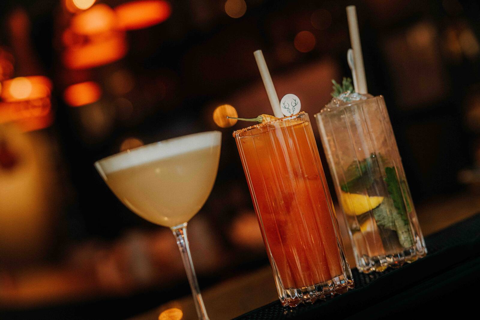 CERVO Mountain Resort|餐飲空間與料理 2